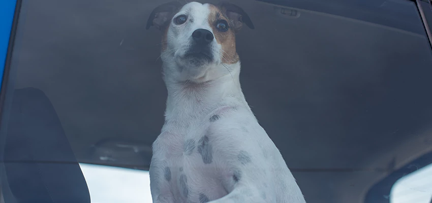 Car Lockout Solutions in Monterey Park, California